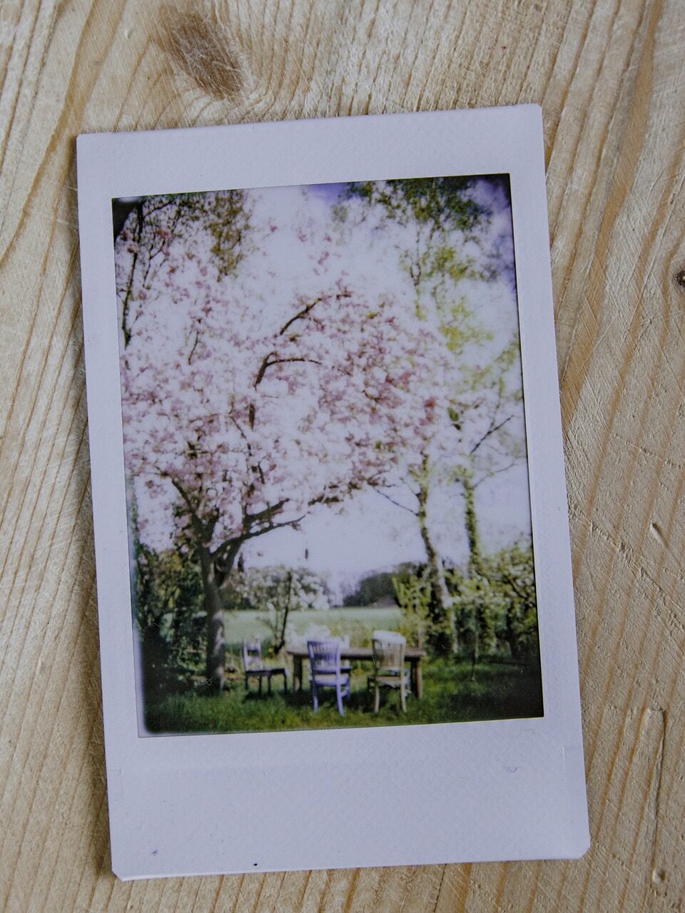 picture, instant, polaroid-1426842.jpg