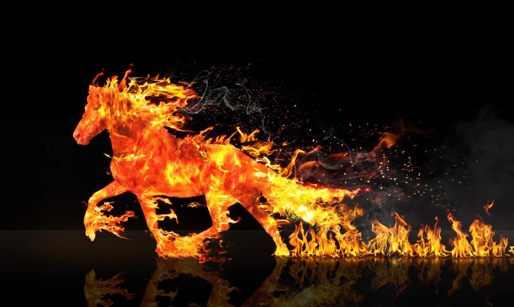 fire horse, horse running, wastage, horse, nature, fires