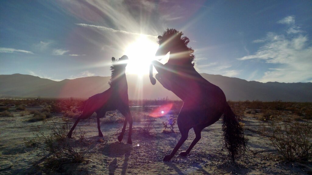 Silhouette of two rearing horses at sunset in Borrego Springs, California desert landscape.